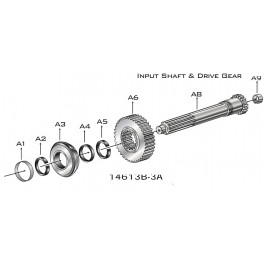 Input Shaft & Drive Gear